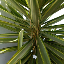 Ladda upp bild till gallerivisning, MOP FLOWER NECKLACE